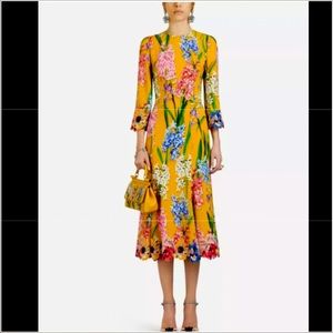 Beautiful Dolce &Gabbana Hyacinth Print Midi Dress